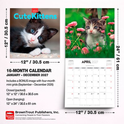 2027 BrownTrout Cute Kittens 12" x 12" Monthly Wall Calendar (9347301107214)
