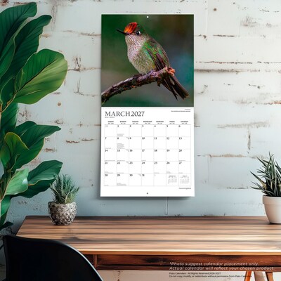 2027 BrownTrout Hummingbirds 12" x 12" Monthly Wall Calendar (9798330713684)