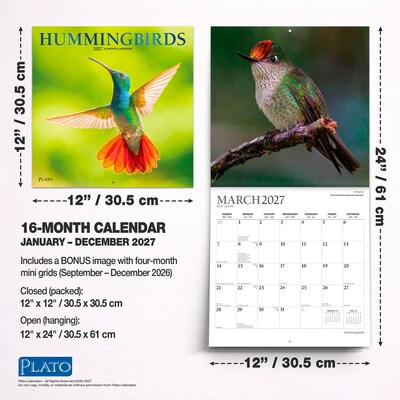 2027 BrownTrout Hummingbirds 12" x 12" Monthly Wall Calendar (9798330713684)