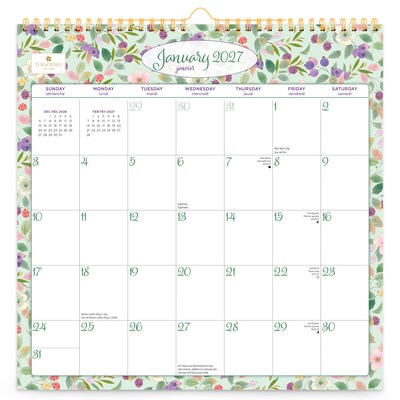 2027 BrownTrout House of Turnowsky 12 x 12 Monthly Calendar (9798330715206)