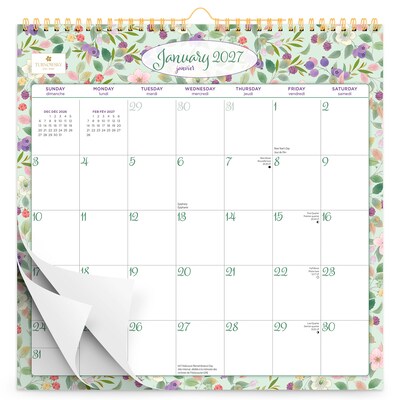 2027 BrownTrout House of Turnowsky 12 x 12 Monthly Calendar (9798330715206)