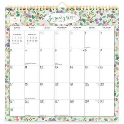 2027 BrownTrout House of Turnowsky 12 x 12 Monthly Calendar (9798330713479)