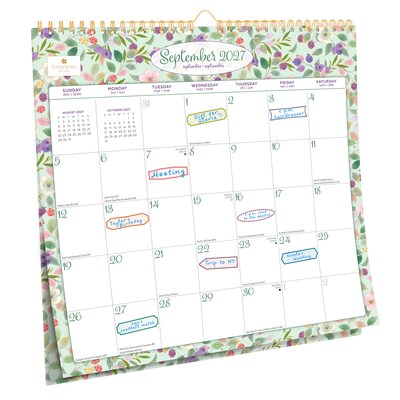 2027 BrownTrout House of Turnowsky 12" x 12" Monthly Calendar (9798330713479)