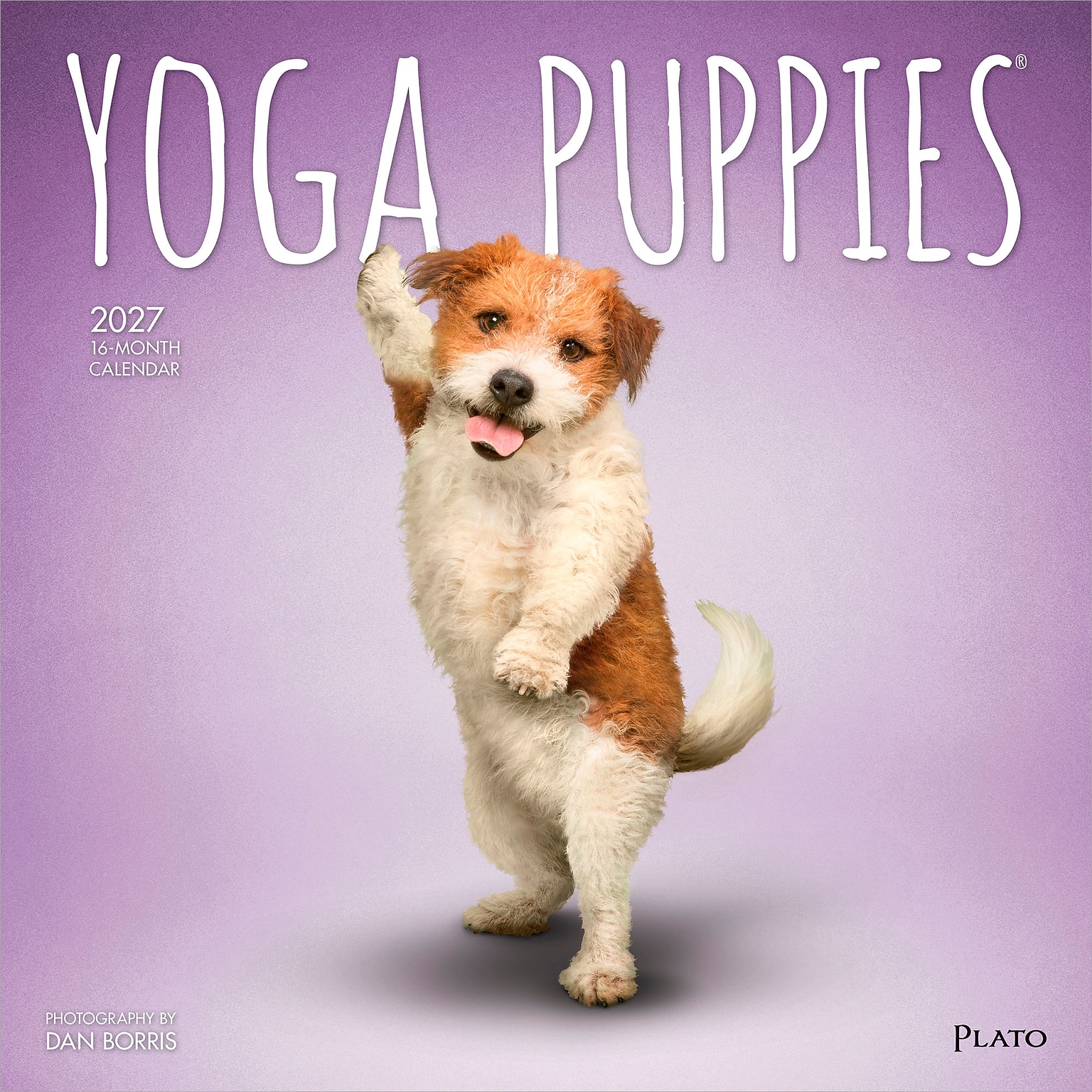 2027 BrownTrout Yoga Puppies 12 x 12 Monthly Wall Calendar (9798330713585)