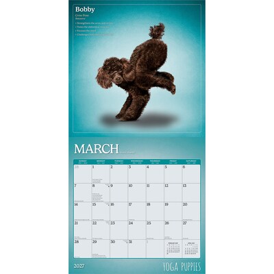 2027 BrownTrout Yoga Puppies 12" x 12" Monthly Wall Calendar (9798330713585)