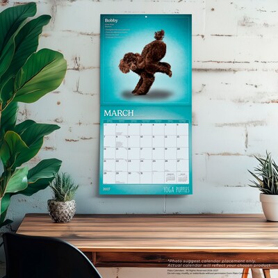 2027 BrownTrout Yoga Puppies 12" x 12" Monthly Wall Calendar (9798330713585)