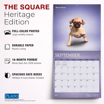 2027 BrownTrout Yoga Puppies 12" x 12" Monthly Wall Calendar (9798330713585)