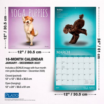 2027 BrownTrout Yoga Puppies 12" x 12" Monthly Wall Calendar (9798330713585)