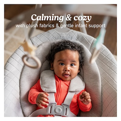 Graco DuetConnect LX Baby Swing and Bouncer, Wales (2231820)