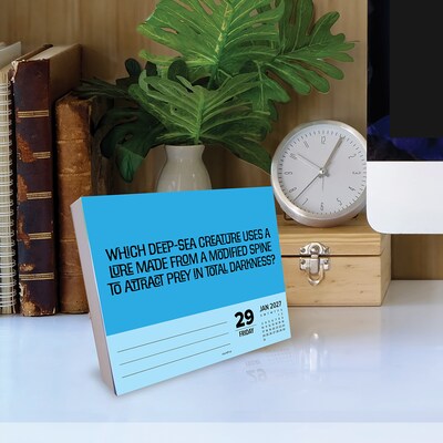 2027 Willow Creek Trivia Night 6.2" x 5.4" Day-to-Day Calendar (63781)