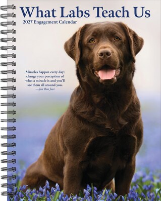2027 Willow Creek What Labs Teach Us 6.5 x 8.5 Weekly & Monthly Desk Calendar (64481)
