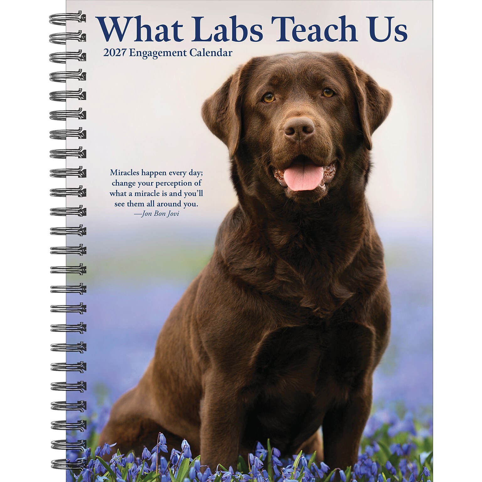 2027 Willow Creek What Labs Teach Us 6.5 x 8.5 Weekly & Monthly Desk Calendar (64481)
