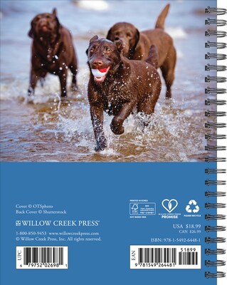 2027 Willow Creek What Labs Teach Us 6.5 x 8.5 Weekly & Monthly Desk Calendar (64481)