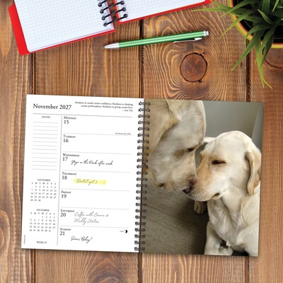 2027 Willow Creek What Labs Teach Us 6.5" x 8.5" Weekly & Monthly Desk Calendar (64481)