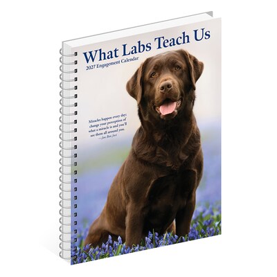 2027 Willow Creek What Labs Teach Us 6.5" x 8.5" Weekly & Monthly Desk Calendar (64481)