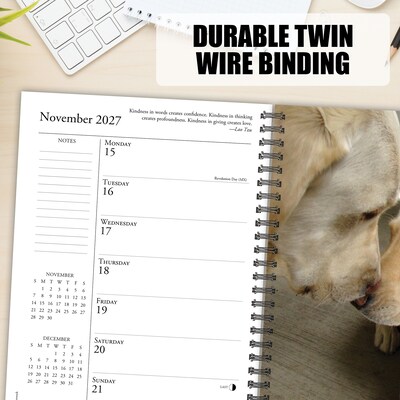 2027 Willow Creek What Labs Teach Us 6.5" x 8.5" Weekly & Monthly Desk Calendar (64481)