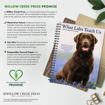 2027 Willow Creek What Labs Teach Us 6.5" x 8.5" Weekly & Monthly Desk Calendar (64481)