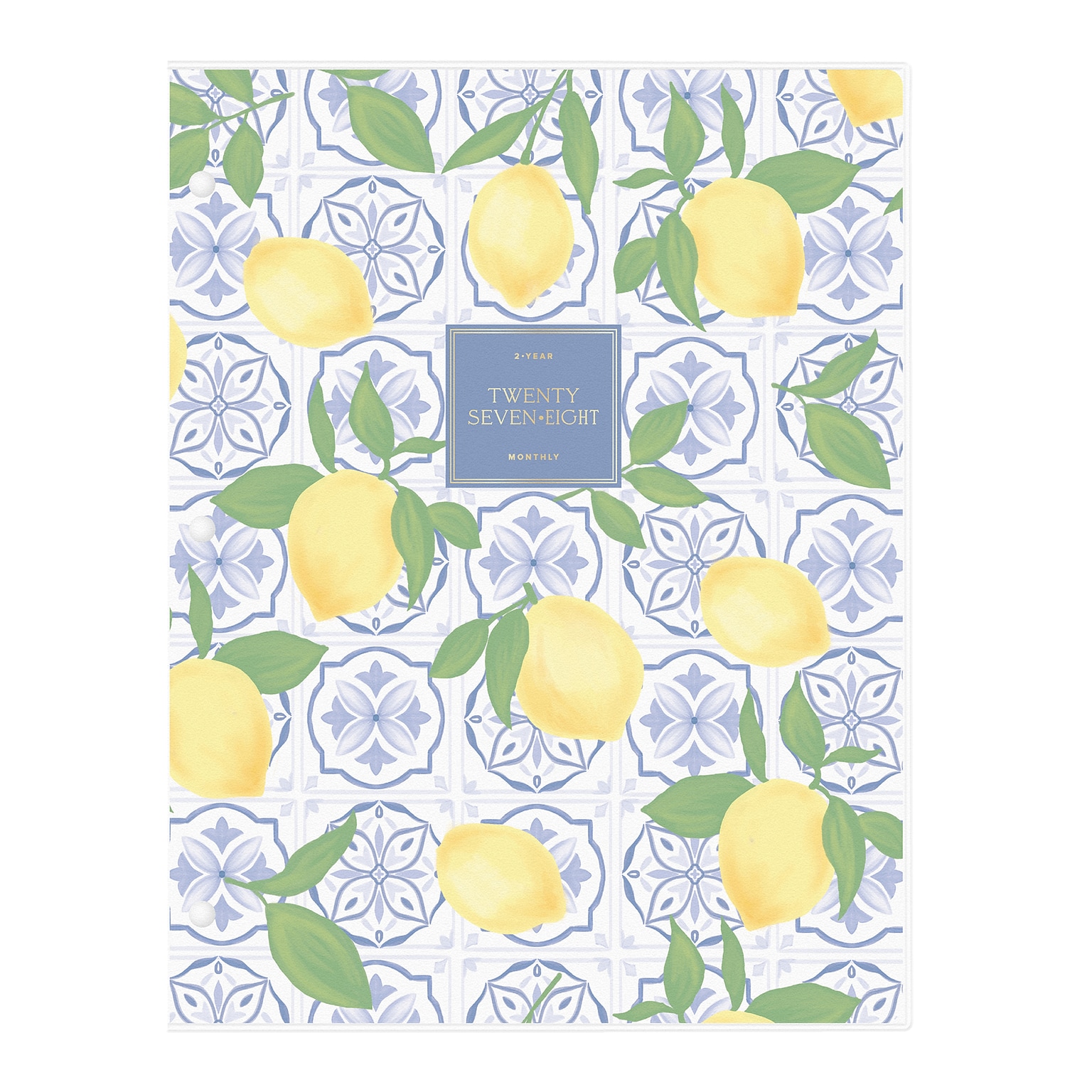 2027 Blue Sky Jessie James Decker 8.5 x 11 Calendar Year Monthly Standard Planner Cover, Lemons (164171)