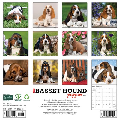 2027 Willow Creek Basset Hound Puppies 12 x 12 Monthly Wall Calendar, Assorted Colors (59036)