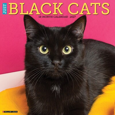 2027 Willow Creek Black Cats 12 x 12 Monthly Wall Calendar, Assorted Colors (59241)