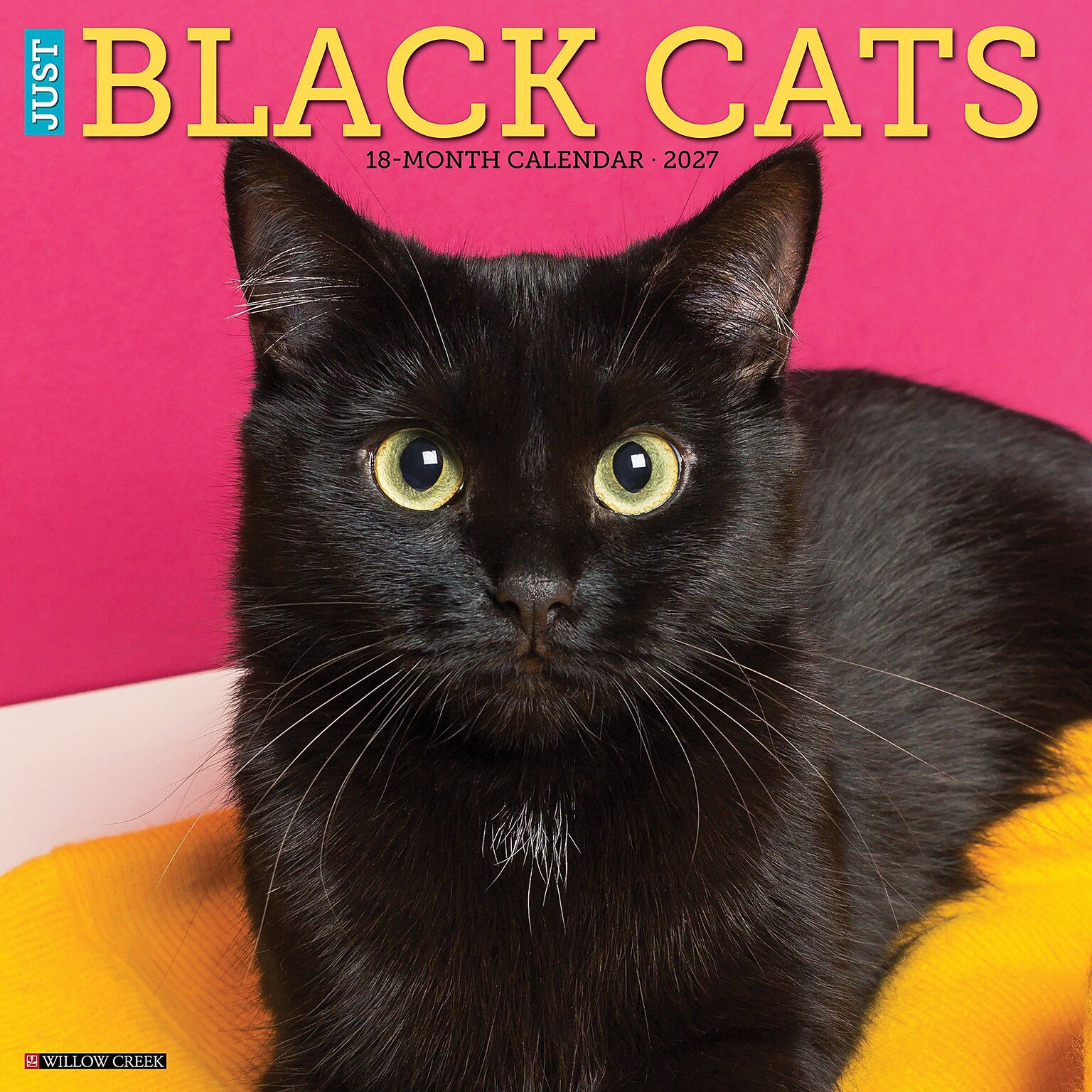 2027 Willow Creek Black Cats 12 x 12 Monthly Wall Calendar, Assorted Colors (59241)