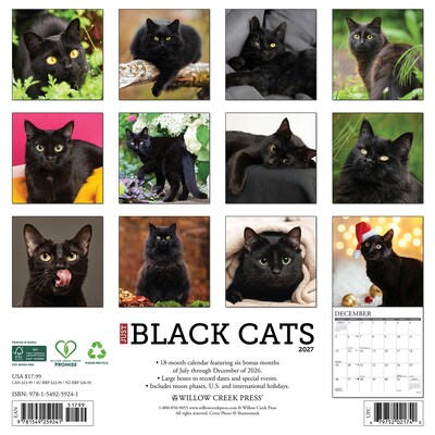 2027 Willow Creek Black Cats 12 x 12 Monthly Wall Calendar, Assorted Colors (59241)