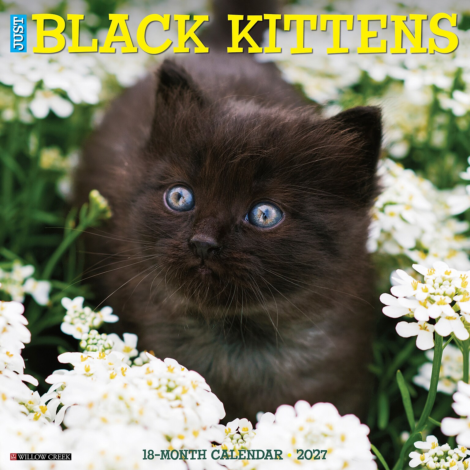 2027 Willow Creek Black Kittens 12 x 12 Monthly Wall Calendar, Assorted Colors (59258)
