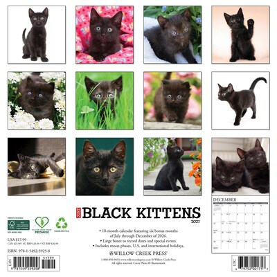 2027 Willow Creek Black Kittens 12 x 12 Monthly Wall Calendar, Assorted Colors (59258)