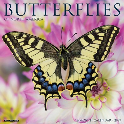 2027 Willow Creek Butterflies 12 x 12 Monthly Wall Calendar, Assorted Colors (59401)