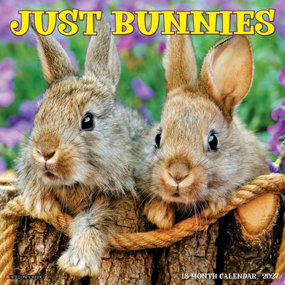 2027 Willow Creek Just Bunnies 2027 12 x 12 Monthly Wall Calendar, Assorted Colors (59395)