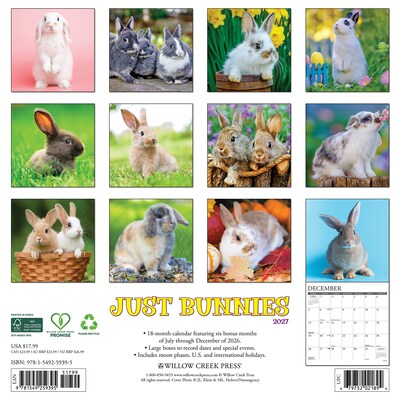 2027 Willow Creek Just Bunnies 2027 12 x 12 Monthly Wall Calendar, Assorted Colors (59395)