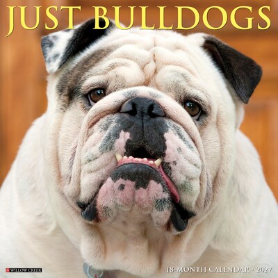2027 Willow Creek Just Bulldogs 12 x 12 Monthly Wall Calendar, Assorted Colors (59388)