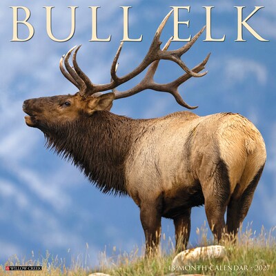 2027 Willow Creek Bull Elk 12 x 12 Monthly Wall Calendar, Assorted Colors (59357)