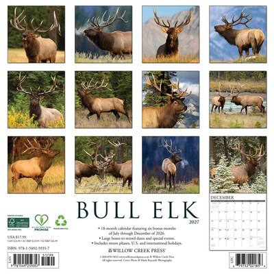 2027 Willow Creek Bull Elk 12 x 12 Monthly Wall Calendar, Assorted Colors (59357)