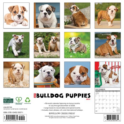 2027 Willow Creek Bulldog Puppies 12 x 12 Monthly Wall Calendar, Assorted Colors (59371)