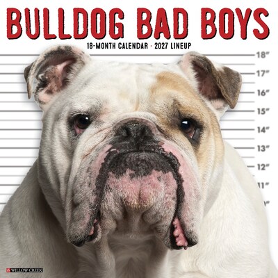 2027 Willow Creek Bulldog Bad Boys 12 x 12 Monthly Wall Calendar, Assorted Colors (59364)
