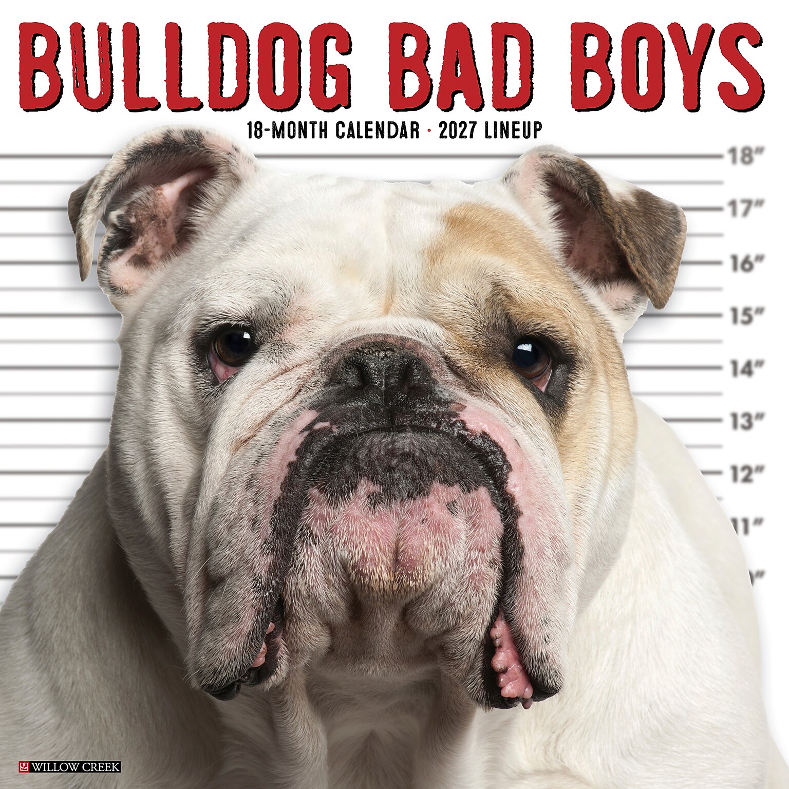 2027 Willow Creek Bulldog Bad Boys 12 x 12 Monthly Wall Calendar, Assorted Colors (59364)