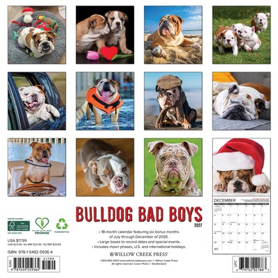 2027 Willow Creek Bulldog Bad Boys 12 x 12 Monthly Wall Calendar, Assorted Colors (59364)