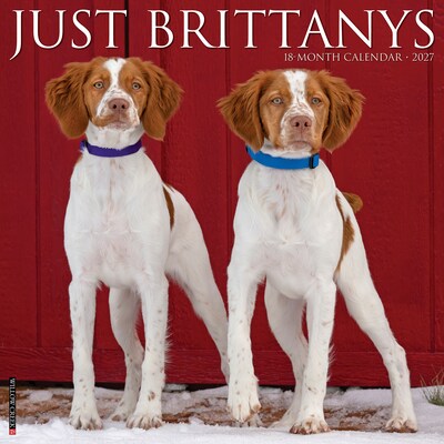 2027 Willow Creek Just Brittanys 12 x 12 Monthly Wall Calendar, Assorted Colors (59333)
