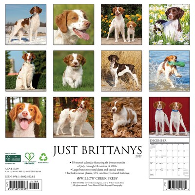 2027 Willow Creek Just Brittanys 12 x 12 Monthly Wall Calendar, Assorted Colors (59333)