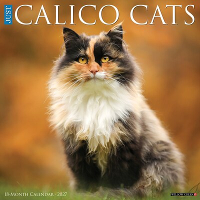 2027 Willow Creek Calico Cats 12 x 12 Monthly Wall Calendar (59432)