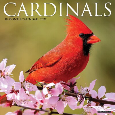 2027 Willow Creek Cardinals 12 x 12 Monthly Wall Calendar (59500)