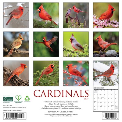 2027 Willow Creek Cardinals 12 x 12 Monthly Wall Calendar (59500)