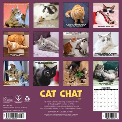 2027 Willow Creek Cat Chat 12 x 12 Monthly Wall Calendar (59524)