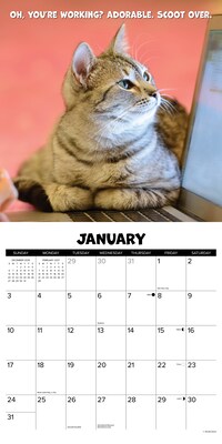 2027 Willow Creek Cat Chat 12" x 12" Monthly Wall Calendar (59524)