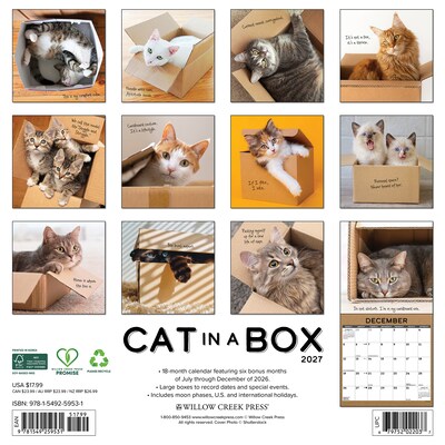2027 Willow Creek Cat in a Box 12 x 12 Monthly Wall Calendar (59531)