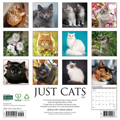 2027 Willow Creek Cats 12 x 12 Monthly Wall Calendar (59562)
