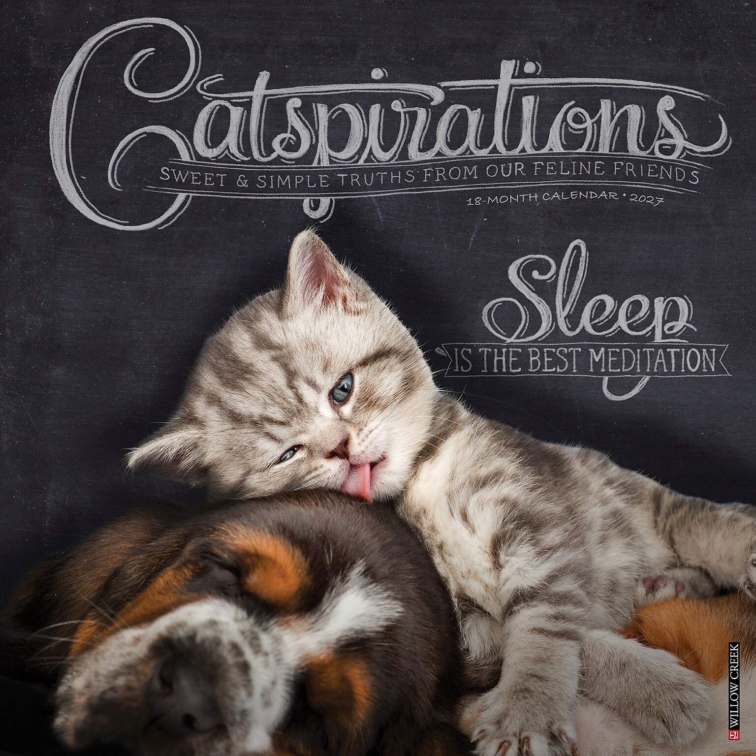 2027 Willow Creek Catspirations  12 x 12 Monthly Wall Calendar (59593)
