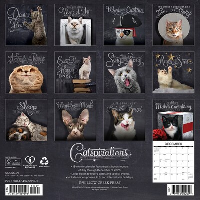 2027 Willow Creek Catspirations  12 x 12 Monthly Wall Calendar (59593)