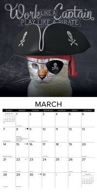 2027 Willow Creek Catspirations  12" x 12" Monthly Wall Calendar (59593)
